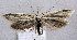  ( - MM25579)  @11 [ ] CreativeCommons - Attribution Non-Commercial (2017) Marko Mutanen University of Oulu