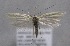  ( - MM25585)  @11 [ ] CreativeCommons - Attribution Non-Commercial (2017) Marko Mutanen University of Oulu