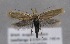  ( - MM25590)  @11 [ ] CreativeCommons - Attribution Non-Commercial (2017) Marko Mutanen University of Oulu