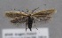  ( - MM25591)  @11 [ ] CreativeCommons - Attribution Non-Commercial (2017) Marko Mutanen University of Oulu
