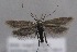  ( - MM25592)  @11 [ ] CreativeCommons - Attribution Non-Commercial (2017) Marko Mutanen University of Oulu