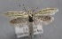  ( - MM25596)  @14 [ ] CreativeCommons - Attribution Non-Commercial (2017) Marko Mutanen University of Oulu