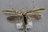  ( - MM25597)  @11 [ ] CreativeCommons - Attribution Non-Commercial (2017) Marko Mutanen University of Oulu