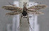  ( - MM25602)  @11 [ ] CreativeCommons - Attribution Non-Commercial (2017) Marko Mutanen University of Oulu