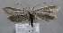  ( - MM25608)  @11 [ ] CreativeCommons - Attribution Non-Commercial (2017) Marko Mutanen University of Oulu