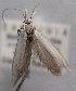  ( - MM25613)  @11 [ ] CreativeCommons - Attribution Non-Commercial (2017) Marko Mutanen University of Oulu