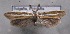  ( - MM25618)  @14 [ ] CreativeCommons - Attribution Non-Commercial (2017) Marko Mutanen University of Oulu