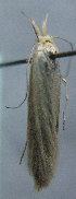  ( - MM25633)  @12 [ ] CreativeCommons - Attribution Non-Commercial (2017) Marko Mutanen University of Oulu