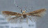  ( - MM25637)  @12 [ ] CreativeCommons - Attribution Non-Commercial (2017) Marko Mutanen University of Oulu