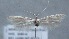  ( - MM25639)  @12 [ ] CreativeCommons - Attribution Non-Commercial (2017) Marko Mutanen University of Oulu