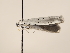  ( - MM25677)  @11 [ ] CreativeCommons - Attribution Non-Commercial (2018) Marko Mutanen University of Oulu
