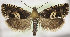  ( - MM25740)  @14 [ ] CreativeCommons - Attribution Non-Commercial (2018) Marko Mutanen University of Oulu