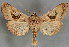  ( - MM25862)  @14 [ ] CreativeCommons - Attribution Non-Commercial (2017) Marko Mutanen University of Oulu
