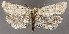  ( - MM25898)  @11 [ ] CreativeCommons - Attribution Non-Commercial (2017) Marko Mutanen University of Oulu