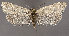  ( - MM25901)  @11 [ ] CreativeCommons - Attribution Non-Commercial (2017) Marko Mutanen University of Oulu