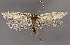  ( - MM25902)  @11 [ ] CreativeCommons - Attribution Non-Commercial (2017) Marko Mutanen University of Oulu