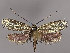  ( - MM25912)  @13 [ ] CreativeCommons - Attribution Non-Commercial (2017) Marko Mutanen University of Oulu