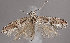  ( - MM25947)  @11 [ ] CreativeCommons - Attribution Non-Commercial (2017) Marko Mutanen University of Oulu