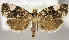  ( - MM25976)  @14 [ ] CreativeCommons - Attribution Non-Commercial (2018) Marko Mutanen University of Oulu