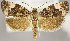  ( - MM25977)  @11 [ ] CreativeCommons - Attribution Non-Commercial (2018) Marko Mutanen University of Oulu