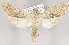  ( - MM26047)  @11 [ ] CreativeCommons - Attribution Non-Commercial (2017) Marko Mutanen University of Oulu