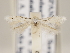  ( - MM26093)  @11 [ ] CreativeCommons - Attribution Non-Commercial (2018) Marko Mutanen University of Oulu