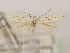  ( - MM26097)  @11 [ ] CreativeCommons - Attribution Non-Commercial (2018) Marko Mutanen University of Oulu