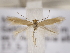  ( - MM26101)  @12 [ ] CreativeCommons - Attribution Non-Commercial (2018) Marko Mutanen University of Oulu