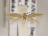  ( - MM26111)  @11 [ ] CreativeCommons - Attribution Non-Commercial (2018) Marko Mutanen University of Oulu