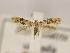  ( - MM26112)  @11 [ ] CreativeCommons - Attribution Non-Commercial (2018) Marko Mutanen University of Oulu
