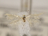  ( - MM26115)  @12 [ ] CreativeCommons - Attribution Non-Commercial (2018) Marko Mutanen University of Oulu