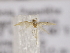  ( - MM26116)  @11 [ ] CreativeCommons - Attribution Non-Commercial (2018) Marko Mutanen University of Oulu