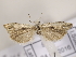  ( - MM26122)  @11 [ ] CreativeCommons - Attribution Non-Commercial (2018) Marko Mutanen University of Oulu
