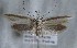  ( - MM26304)  @11 [ ] CreativeCommons - Attribution Non-Commercial (2019) Marko Mutanen University of Oulu
