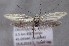  ( - MM26311)  @11 [ ] CreativeCommons - Attribution Non-Commercial (2019) Marko Mutanen University of Oulu