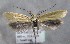  ( - MM26320)  @11 [ ] CreativeCommons - Attribution Non-Commercial (2019) Marko Mutanen University of Oulu