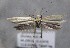  ( - MM26321)  @11 [ ] CreativeCommons - Attribution Non-Commercial (2019) Marko Mutanen University of Oulu