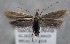  ( - MM26329)  @11 [ ] CreativeCommons - Attribution Non-Commercial (2019) Marko Mutanen University of Oulu