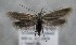  ( - MM26330)  @11 [ ] CreativeCommons - Attribution Non-Commercial (2019) Marko Mutanen University of Oulu