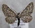  ( - MM26341)  @11 [ ] CreativeCommons - Attribution Non-Commercial (2019) Marko Mutanen University of Oulu