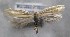  ( - MM26344)  @11 [ ] CreativeCommons - Attribution Non-Commercial (2019) Marko Mutanen University of Oulu