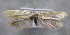  ( - MM26346)  @11 [ ] CreativeCommons - Attribution Non-Commercial (2019) Marko Mutanen University of Oulu