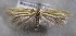  ( - MM26347)  @11 [ ] CreativeCommons - Attribution Non-Commercial (2019) Marko Mutanen University of Oulu
