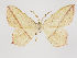  ( - MM26380)  @13 [ ] CreativeCommons - Attribution Non-Commercial (2019) Marko Mutanen University of Oulu