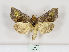  ( - MM26408)  @13 [ ] CreativeCommons - Attribution Non-Commercial (2019) Marko Mutanen University of Oulu