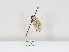  ( - MM26416)  @11 [ ] CreativeCommons - Attribution Non-Commercial (2019) Marko Mutanen University of Oulu