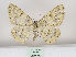  ( - MM26429)  @11 [ ] CreativeCommons - Attribution Non-Commercial (2019) Marko Mutanen University of Oulu