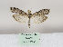  ( - MM26450)  @11 [ ] CreativeCommons - Attribution Non-Commercial (2019) Marko Mutanen University of Oulu