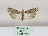  ( - MM26451)  @11 [ ] CreativeCommons - Attribution Non-Commercial (2019) Marko Mutanen University of Oulu