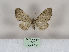  ( - MM26471)  @11 [ ] CreativeCommons - Attribution Non-Commercial (2019) Marko Mutanen University of Oulu